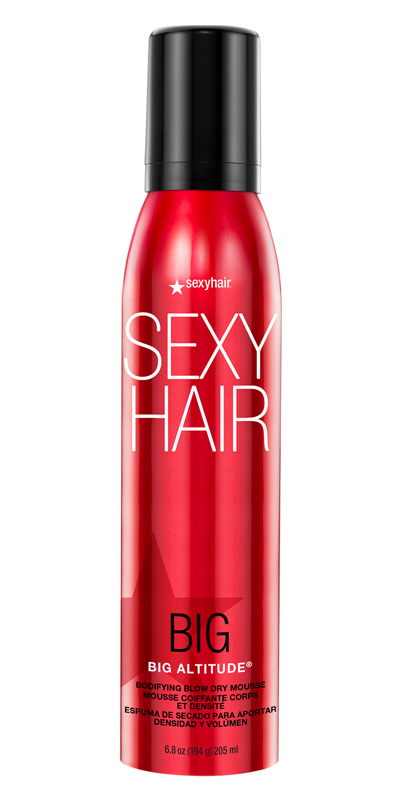 Big Altitude Bodifying Blow Dry Mousse